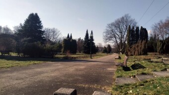Beautiful sunny day, but still a bit chilly - My Actifit Report Card: March 18, 2025