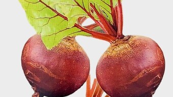 Beetroot: Health Benefits and Growing Tips.