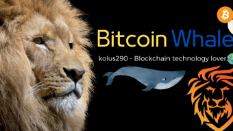 How Bitcoin whales can kill cryptocurrencies?