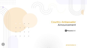 PhoenixDAO ambassadors share a little bit about themselves.