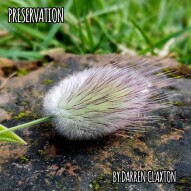 Preservation - Original Instrumental Music by Darren Claxton