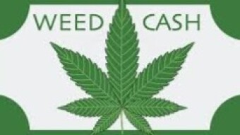 February 09 Weedcash price analysis