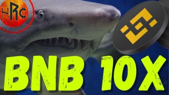 BNB PUÒ FARE 10x?