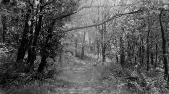Haunted Forest Encounter Generator