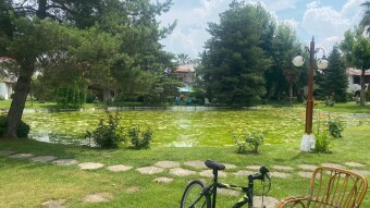 Back to the Nature..