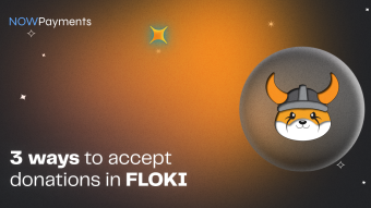 3 Ways to Accept Donations in FLOKI