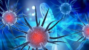 Nigeria Records Its First Case Of The Coronavirus