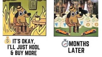 Bitcoin's Sky is Falling and This is What You Should Do!