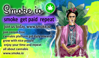 digital art , and frida kahlo