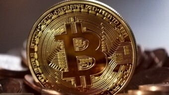 8 Reasons Why I Like Hodlnaut