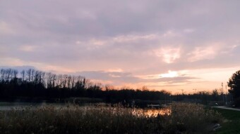 Thursday still warm but less sunny - My Actifit Report Card: March 12, 2026