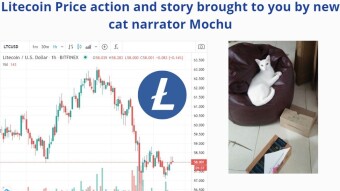 Litecoin Price action and story brought to you by new cat narrator Mochu