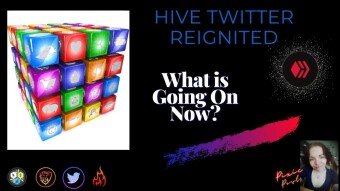 Hive Twitter Reignited | What Is Going On Now?