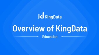 Overview Of KingData
