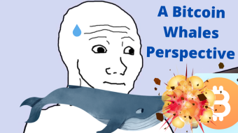 A Bitcoin Whale's Perspective - Crypto Markets Crash - The State of Bitcoin - My Plan for Weathering the Storm