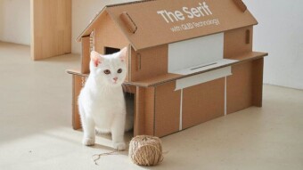 Samsung plans to ship its TVs in packaging that can easily be turned into a cat house and other useful things for the home