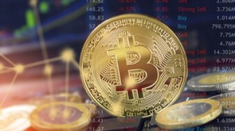 Crypto are stronger than markets. Here's why.