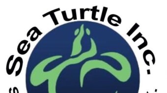 SpaceX comes Through for Sea Turtles!