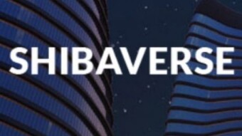 Shibaverse presentation