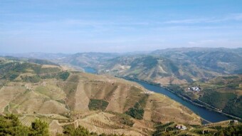 Travel Portugal - Peso da Régua