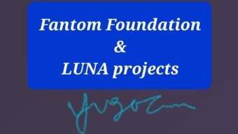 Fantom Blockchain offers Terra Blockchain project