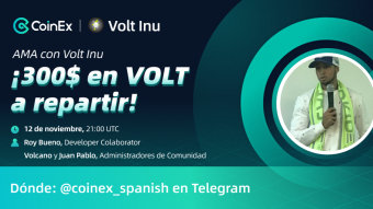 AMA con Volt Inu