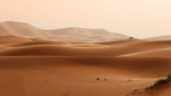 The Dune airdrop for all Tezos Holders
