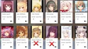 Not your Typical Waifu! NFT in your favorite 2D girl.