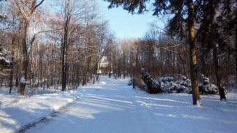 Very pleasant Saturday, lots of sun and not too cold - My Actifit Report Card: January 20 2024