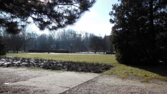 Today foot failure and only a short walk in search of spring - My Actifit Report Card: February 14 2023