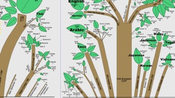 Learning a new language - Bengali/Bangla