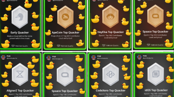Climb The Wallchain Quack Ladder