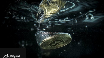 INVESTING IN COINS THAT ARE RESISTANT TO THE BITCOIN-EFFECT.
