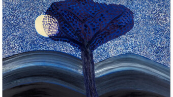 'Melt Up' Up, Up, Up . . . . . . . . Up, BOMO Bitcoin FOMO, Hug The Junk - Week of 6/13