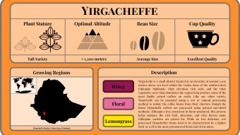 Conscious Caffeine #10 - Yirgacheffe