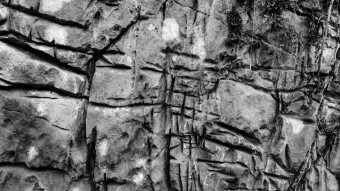 "Scar": Exhibition 2