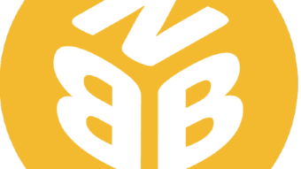 Make Bank: BNBPick.io
