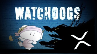 Watchdogs: Ripple Coin Analysis Amid SEC Lawsuit