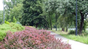A dynamic and fresh day, more reminiscent of May weather - My Actifit Report Card: July 4 2024