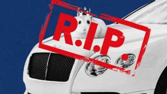 Sad News in the Crypto World: Successful Investor Hamster Mr. Goxx is Dead