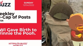 Recap of this Week's Posts by D.Buzz Vol.126