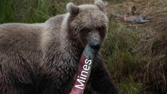 Computer North Bear effect on Bitcoin Miners
