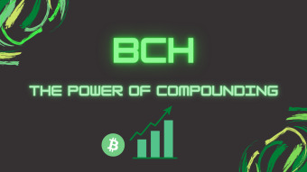 How I Plan to Earn $365K in BCH (in the next 20 years)