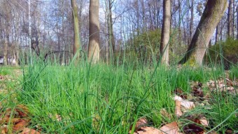 Saturday is still a sign of warm spring - what will the weather be like in the coming days? - My Actifit Report Card: March 16 2024