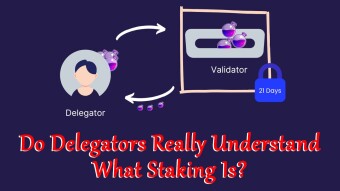 Do Delegators Really Understand What Staking Is?