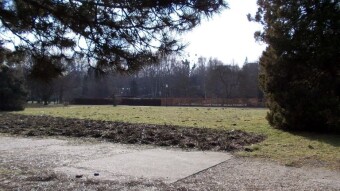 Winter but no snow. Interesting Monday - My Actifit Report Card: February 3, 2025