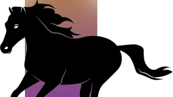 BLACK STALLION: CHANGING THE CRYPTO NARRATIVES