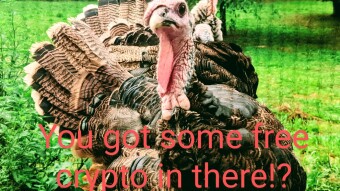 Welcome to the Free Crypto is Better blog