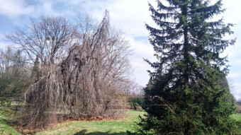 Friday is already warmer, more spring-like