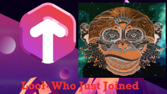 TORUM - News and Updates